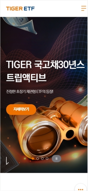 미래에셋 TIGER ETF 모바일 웹 인증 화면